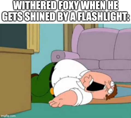 Withered Foxy: | WITHERED FOXY WHEN HE GETS SHINED BY A FLASHLIGHT: | image tagged in fnaf | made w/ Imgflip meme maker