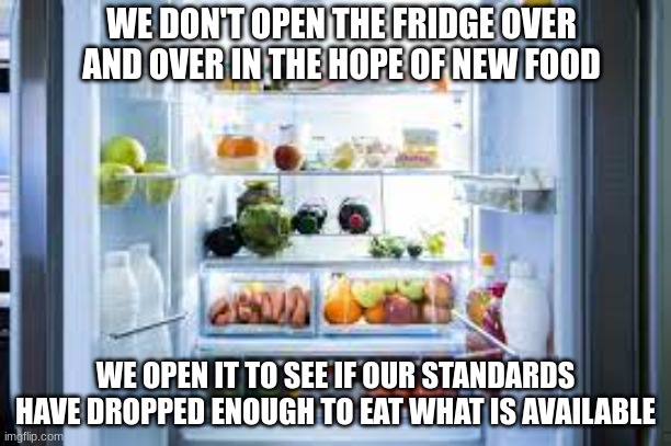 So True | WE DON'T OPEN THE FRIDGE OVER AND OVER IN THE HOPE OF NEW FOOD; WE OPEN IT TO SEE IF OUR STANDARDS HAVE DROPPED ENOUGH TO EAT WHAT IS AVAILABLE | image tagged in shower thoughts,funny | made w/ Imgflip meme maker