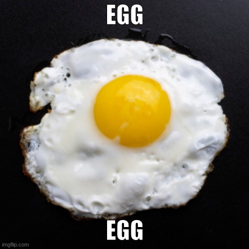 egg | EGG; EGG | image tagged in eggs | made w/ Imgflip meme maker