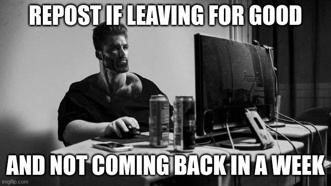 Gigachad On The Computer | REPOST IF LEAVING FOR GOOD; AND NOT COMING BACK IN A WEEK | image tagged in gigachad on the computer | made w/ Imgflip meme maker