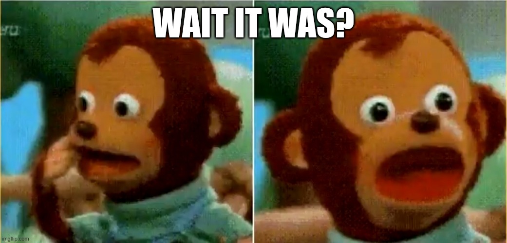 Surprised monkey puppet | WAIT IT WAS? | image tagged in surprised monkey puppet | made w/ Imgflip meme maker