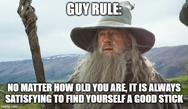 Those sticks are a main staple in a guy's life | GUY RULE:; NO MATTER HOW OLD YOU ARE, IT IS ALWAYS SATISFYING TO FIND YOURSELF A GOOD STICK | image tagged in gandalf with stick | made w/ Imgflip meme maker