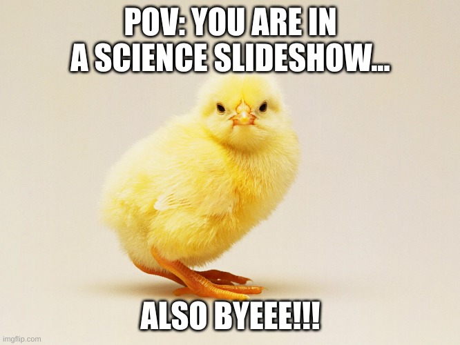ccj | POV: YOU ARE IN A SCIENCE SLIDESHOW... ALSO BYEEE!!! | image tagged in ccj | made w/ Imgflip meme maker