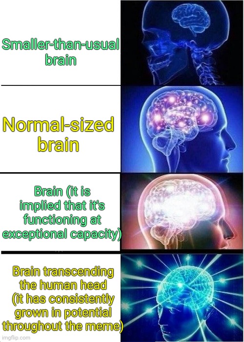 . | Smaller-than-usual brain; Normal-sized brain; Brain (it is implied that it's functioning at exceptional capacity); Brain transcending the human head (it has consistently grown in potential throughout the meme) | image tagged in memes,expanding brain | made w/ Imgflip meme maker