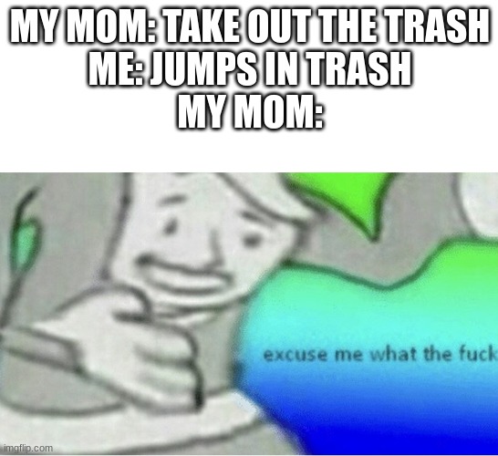 Excuse me wtf blank template | MY MOM: TAKE OUT THE TRASH
ME: JUMPS IN TRASH
MY MOM: | image tagged in excuse me wtf blank template | made w/ Imgflip meme maker