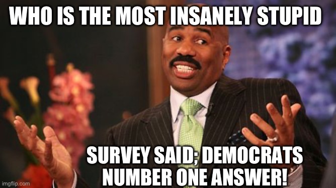 ? bud said that you can come | WHO IS THE MOST INSANELY STUPID; SURVEY SAID; DEMOCRATS
NUMBER ONE ANSWER! | image tagged in memes,steve harvey | made w/ Imgflip meme maker