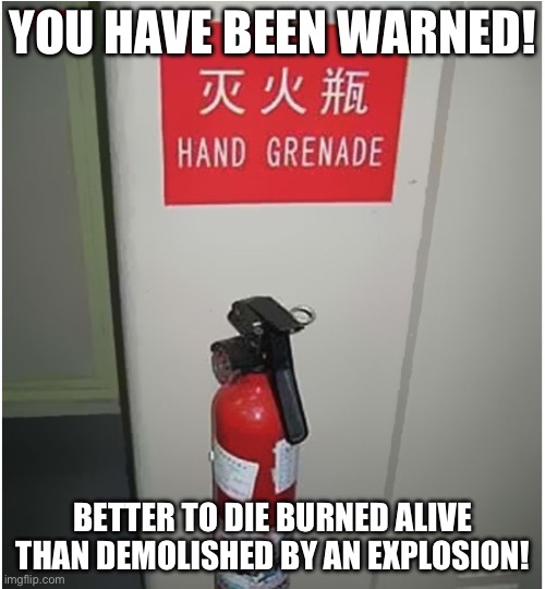 Hand grenade | YOU HAVE BEEN WARNED! BETTER TO DIE BURNED ALIVE THAN DEMOLISHED BY AN EXPLOSION! | image tagged in hand grenade | made w/ Imgflip meme maker