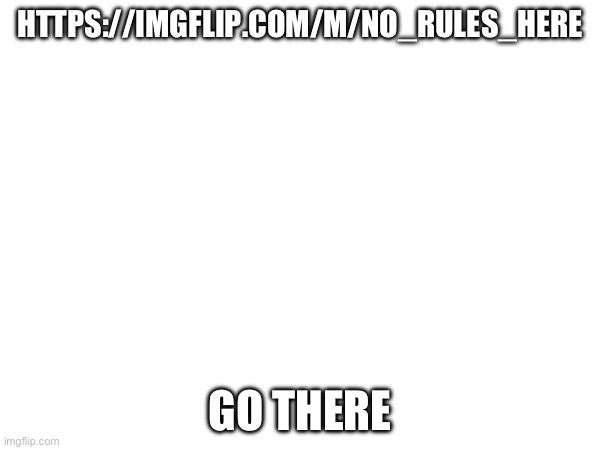 HTTPS://IMGFLIP.COM/M/NO_RULES_HERE; GO THERE | made w/ Imgflip meme maker