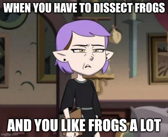 Amity cringing | WHEN YOU HAVE TO DISSECT FROGS; AND YOU LIKE FROGS A LOT | image tagged in amity cringing | made w/ Imgflip meme maker