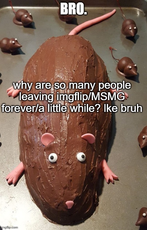 chocolate rat | BRO. why are so many people leaving imgflip/MSMG forever/a little while? lke bruh | image tagged in chocolate rat | made w/ Imgflip meme maker
