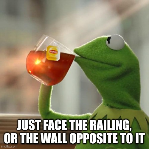 But That's None Of My Business Meme | JUST FACE THE RAILING, OR THE WALL OPPOSITE TO IT | image tagged in memes,but that's none of my business,kermit the frog | made w/ Imgflip meme maker