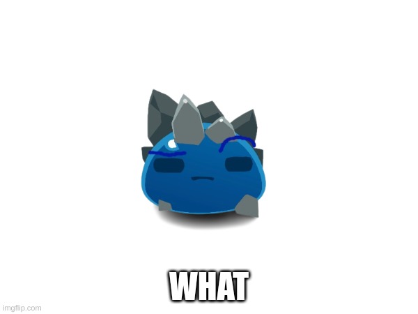 yep | WHAT | image tagged in yep i dont care | made w/ Imgflip meme maker