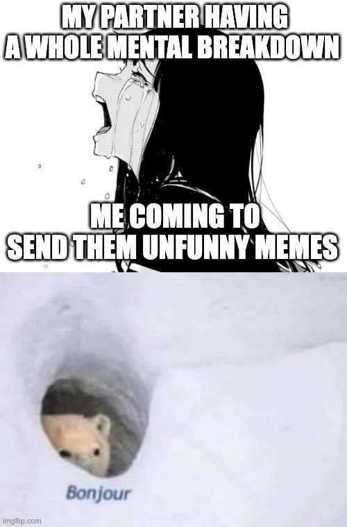 MY PARTNER HAVING A WHOLE MENTAL BREAKDOWN; ME COMING TO SEND THEM UNFUNNY MEMES | image tagged in crying aya asagiri,bonjour | made w/ Imgflip meme maker