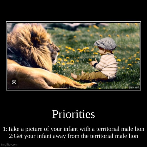 Priorities | 1:Take a picture of your infant with a territorial male lion
2:Get your infant away from the territorial male lion | image tagged in funny,demotivationals | made w/ Imgflip demotivational maker