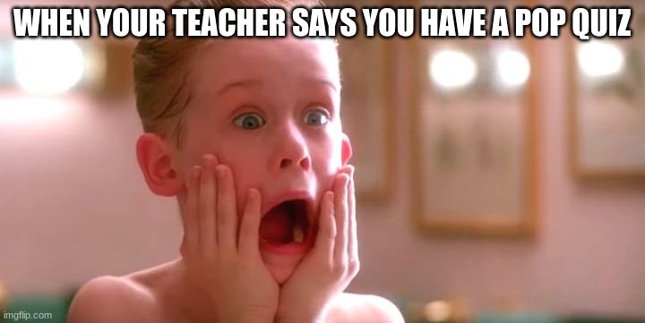 AHHHHH | WHEN YOUR TEACHER SAYS YOU HAVE A POP QUIZ | image tagged in home alone | made w/ Imgflip meme maker