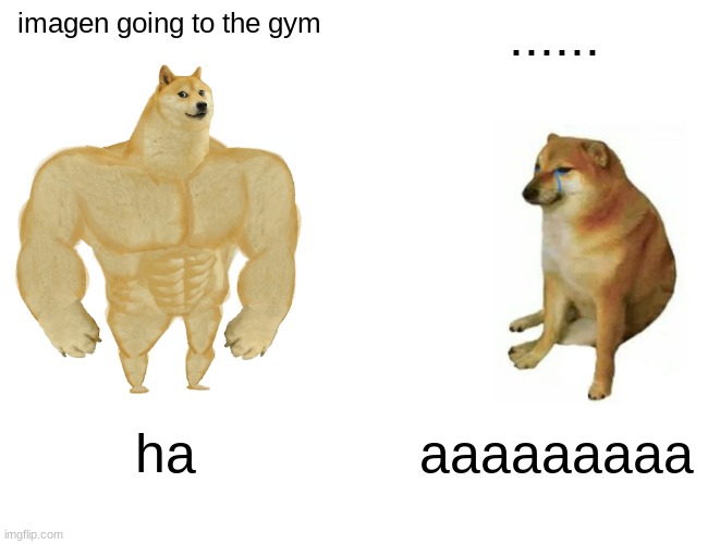 gym | imagen going to the gym; ...... ha; aaaaaaaaa | image tagged in memes,buff doge vs cheems | made w/ Imgflip meme maker