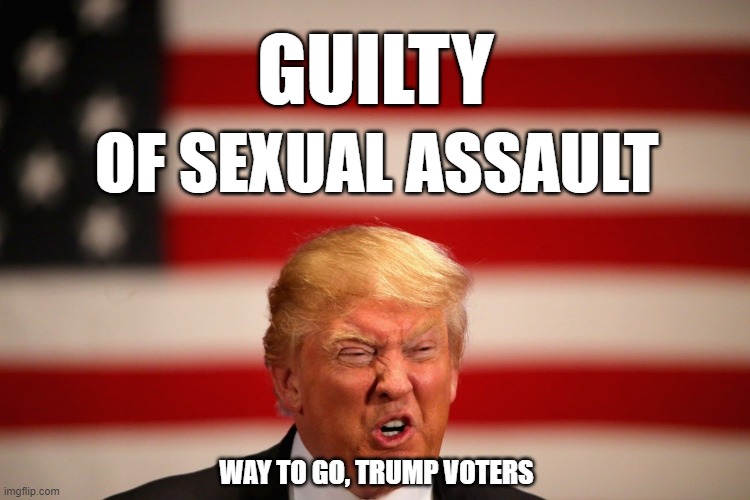 GUILTY; OF SEXUAL ASSAULT; WAY TO GO, TRUMP VOTERS | image tagged in trump,guilty | made w/ Imgflip meme maker