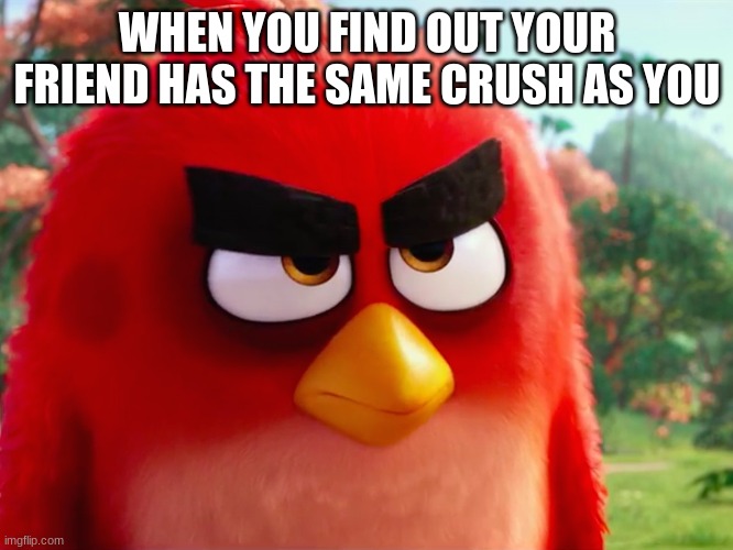 angry | WHEN YOU FIND OUT YOUR FRIEND HAS THE SAME CRUSH AS YOU | image tagged in angrybirds | made w/ Imgflip meme maker