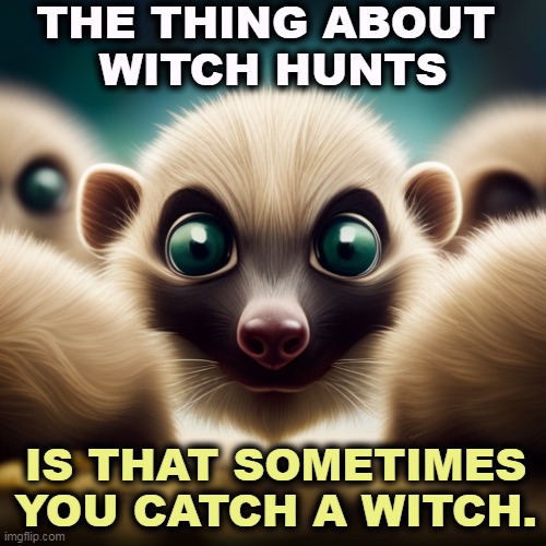 Especially a witch who conducts his witchery in plain sight. Don't blow these lawsuits off. This is not politics. | THE THING ABOUT 
WITCH HUNTS; IS THAT SOMETIMES YOU CATCH A WITCH. | image tagged in donald trump,witch hunt,guilty,sexual assault,lawsuit | made w/ Imgflip meme maker