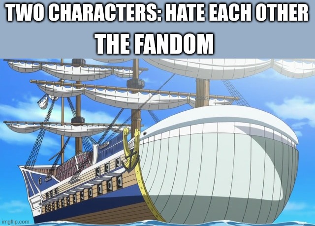 TWO CHARACTERS: HATE EACH OTHER; THE FANDOM | image tagged in one piece ship | made w/ Imgflip meme maker