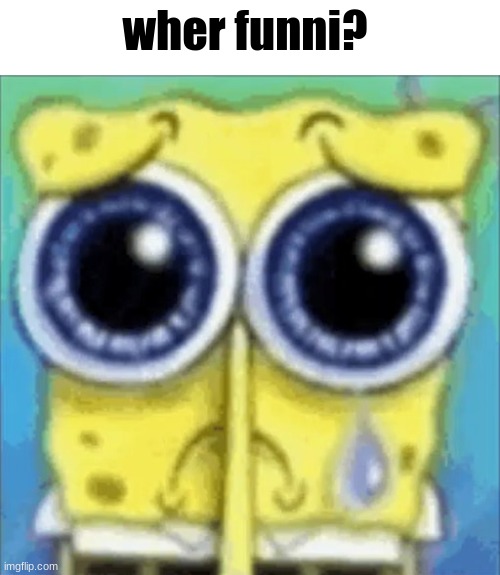 no mor funni | wher funni? | image tagged in sad spongebob,funni,spunch bop | made w/ Imgflip meme maker