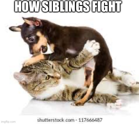 How siblings fight | HOW SIBLINGS FIGHT | image tagged in funny memes | made w/ Imgflip meme maker