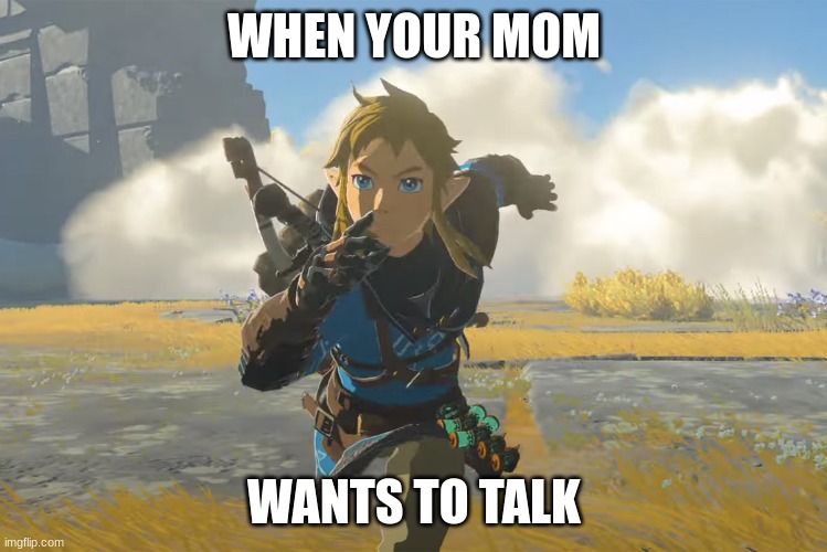 Tears of the kingdom running | WHEN YOUR MOM WANTS TO TALK | image tagged in tears of the kingdom running | made w/ Imgflip meme maker