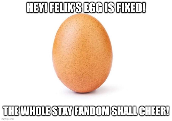 its back | HEY! FELIX'S EGG IS FIXED! THE WHOLE STAY FANDOM SHALL CHEER! | image tagged in felix's egg | made w/ Imgflip meme maker