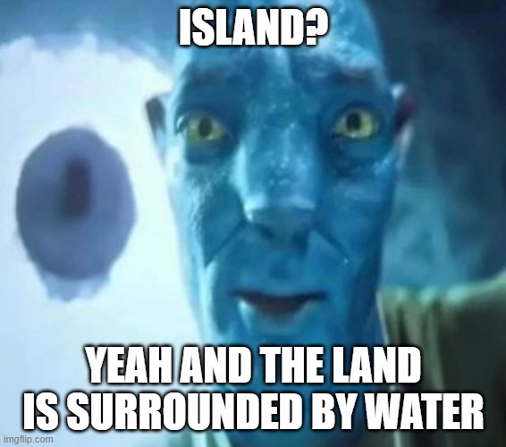 Island? | ISLAND? YEAH AND THE LAND IS SURROUNDED BY WATER | image tagged in avatar guy | made w/ Imgflip meme maker