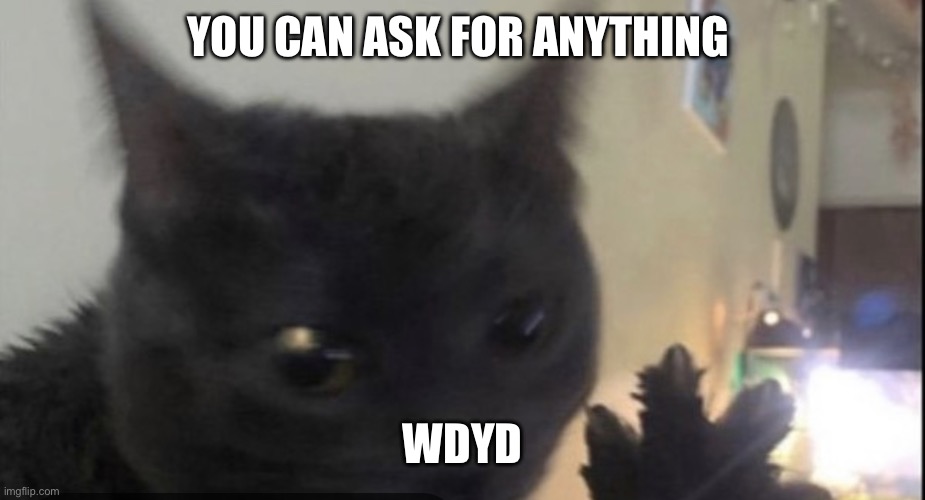 Dablons | YOU CAN ASK FOR ANYTHING; WDYD | image tagged in dablons | made w/ Imgflip meme maker