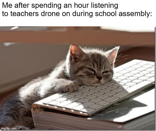 It's so boring | Me after spending an hour listening to teachers drone on during school assembly: | image tagged in bored keyboard cat | made w/ Imgflip meme maker