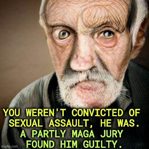 Prosecution for messing with a woman's parts against her will is not a political witch hunt. It's the law and applies to all. | YOU WEREN'T CONVICTED OF 
SEXUAL ASSAULT, HE WAS. A PARTLY MAGA JURY 
FOUND HIM GUILTY. | image tagged in donald trump,maga,guilty,witch hunt | made w/ Imgflip meme maker