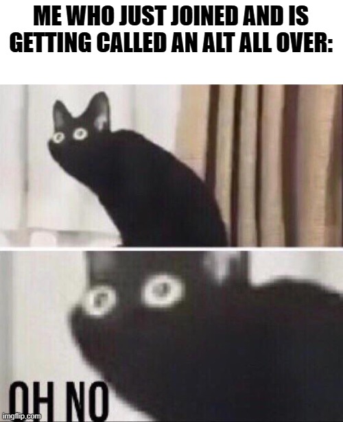 Oh no cat | ME WHO JUST JOINED AND IS GETTING CALLED AN ALT ALL OVER: | image tagged in oh no cat | made w/ Imgflip meme maker