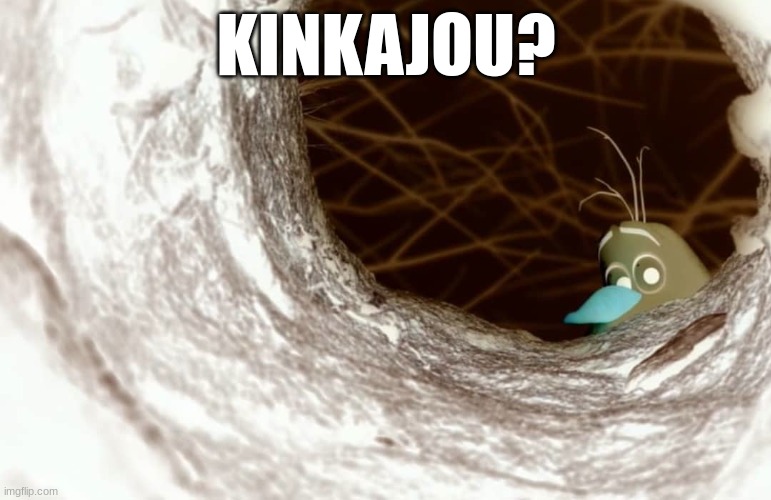 wof meme #29? | KINKAJOU? | image tagged in olaf samantha | made w/ Imgflip meme maker