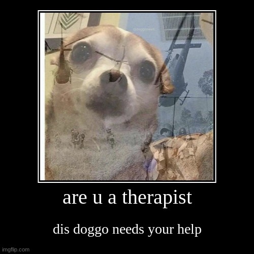 are u a therapist | dis doggo needs your help | image tagged in funny,demotivationals | made w/ Imgflip demotivational maker