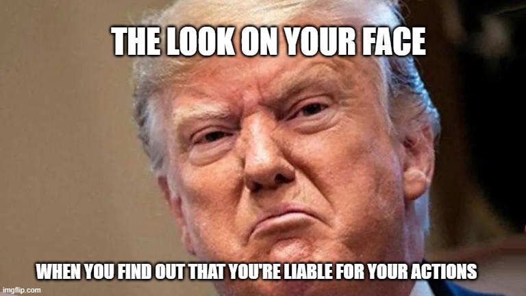 Angry Donald Trump | THE LOOK ON YOUR FACE; WHEN YOU FIND OUT THAT YOU'RE LIABLE FOR YOUR ACTIONS | image tagged in angry donald trump | made w/ Imgflip meme maker