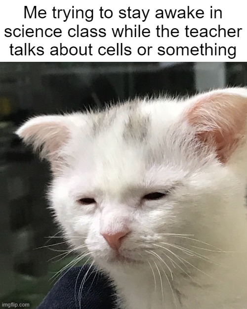 I couldn't care less | Me trying to stay awake in science class while the teacher talks about cells or something | image tagged in i'm awake but at what cost,funny,relatable | made w/ Imgflip meme maker