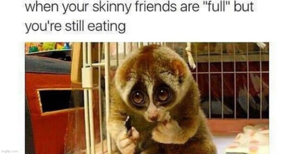 "Are you REALLY full?" | image tagged in memes,funny,lol,imgflip,sloth,meme | made w/ Imgflip meme maker