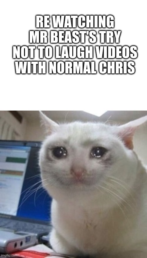 RE WATCHING MR BEAST'S TRY NOT TO LAUGH VIDEOS WITH NORMAL CHRIS | image tagged in crying cat,mrbeast | made w/ Imgflip meme maker