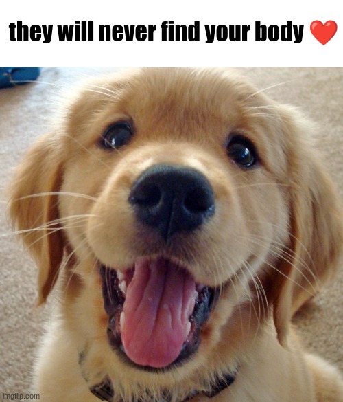 yayyyyyy | they will never find your body ❤ | image tagged in cute dog,dog,happy,wholesome content | made w/ Imgflip meme maker