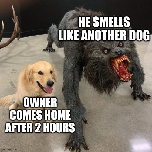 woof | HE SMELLS LIKE ANOTHER DOG; OWNER COMES HOME AFTER 2 HOURS | image tagged in dog vs werewolf,dog,werewolf | made w/ Imgflip meme maker