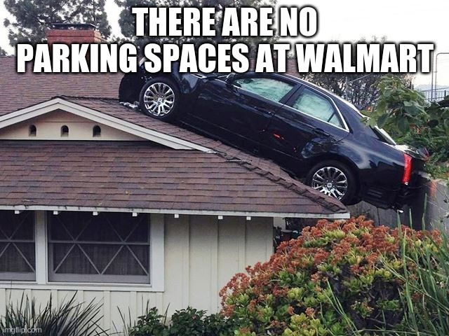 Scared Of Tall Ladders | THERE ARE NO PARKING SPACES AT WALMART | image tagged in scared of tall ladders | made w/ Imgflip meme maker