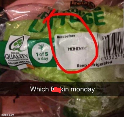 What monday? | image tagged in you had one job,memes,funny | made w/ Imgflip meme maker