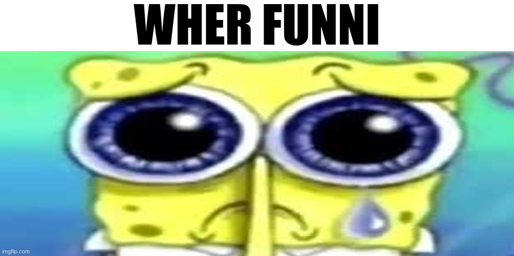 Sad Spong | WHER FUNNI | image tagged in sad spong | made w/ Imgflip meme maker