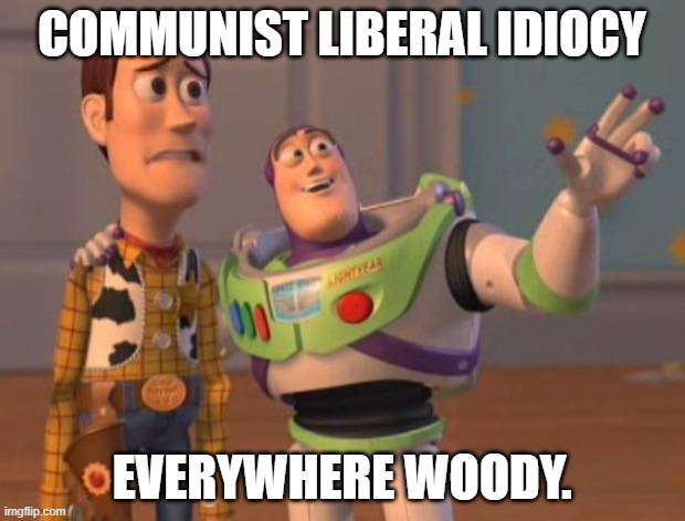 It's everywhere!!! God help us | COMMUNIST LIBERAL IDIOCY; EVERYWHERE WOODY. | image tagged in toy story meme,liberals,idiocy,communist,buzz and woody | made w/ Imgflip meme maker