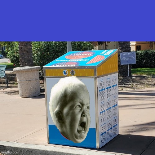 Ballot Drop box | image tagged in ballot drop box | made w/ Imgflip meme maker