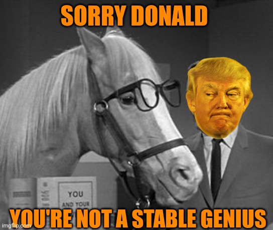 Guilty | SORRY DONALD; YOU'RE NOT A STABLE GENIUS | image tagged in stable genius,broke man,donald trump,butthurt,politics | made w/ Imgflip meme maker