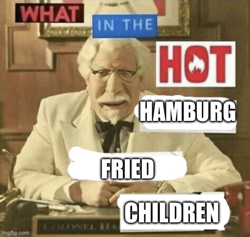what in the hot crispy kentucky fried frick | HAMBURG; FRIED; CHILDREN | image tagged in what in the hot crispy kentucky fried frick | made w/ Imgflip meme maker