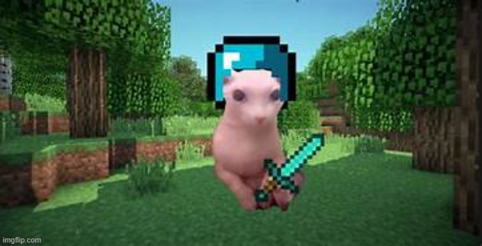 bingus playing minecraft | image tagged in bingus playing minecraft | made w/ Imgflip meme maker