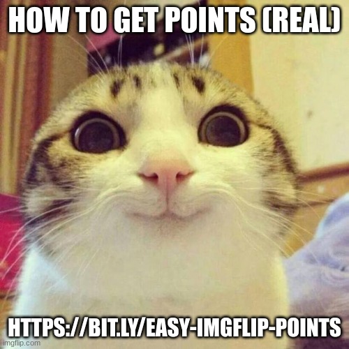 Smiling Cat | HOW TO GET POINTS (REAL); HTTPS://BIT.LY/EASY-IMGFLIP-POINTS | image tagged in memes,smiling cat | made w/ Imgflip meme maker